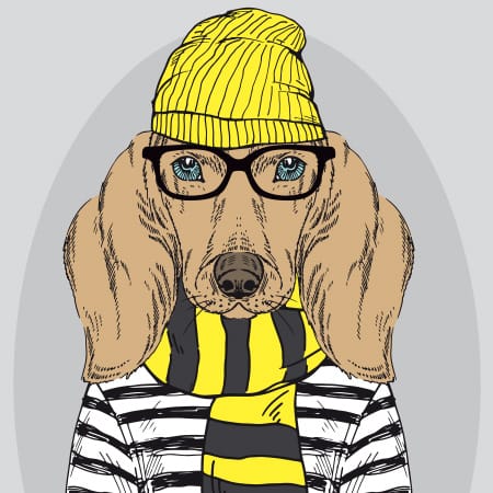 hipster dog