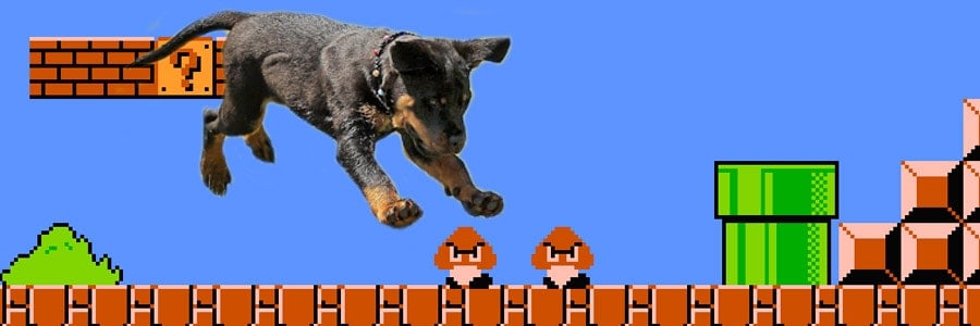 video game dog