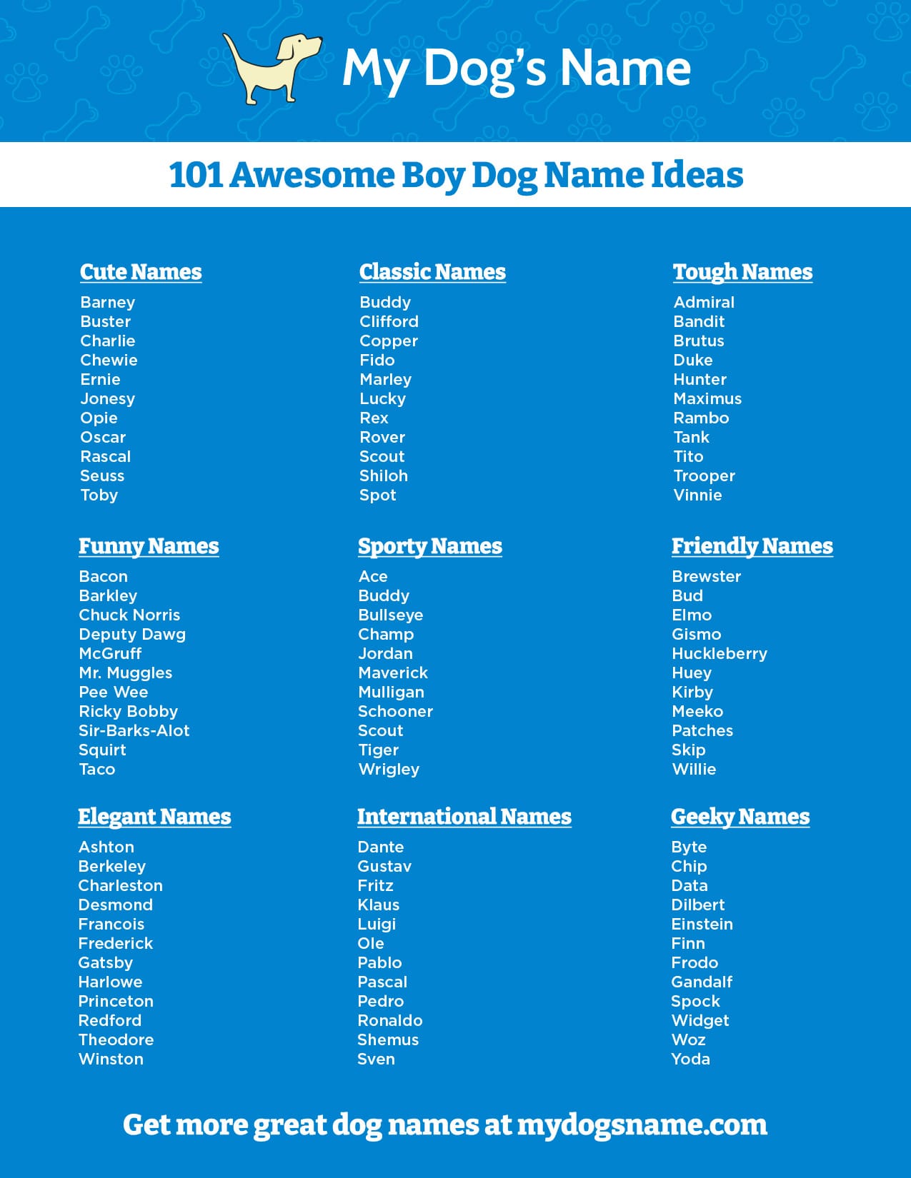 Boy Dog Names 350 Ideas for Male Puppies My Dog's Name