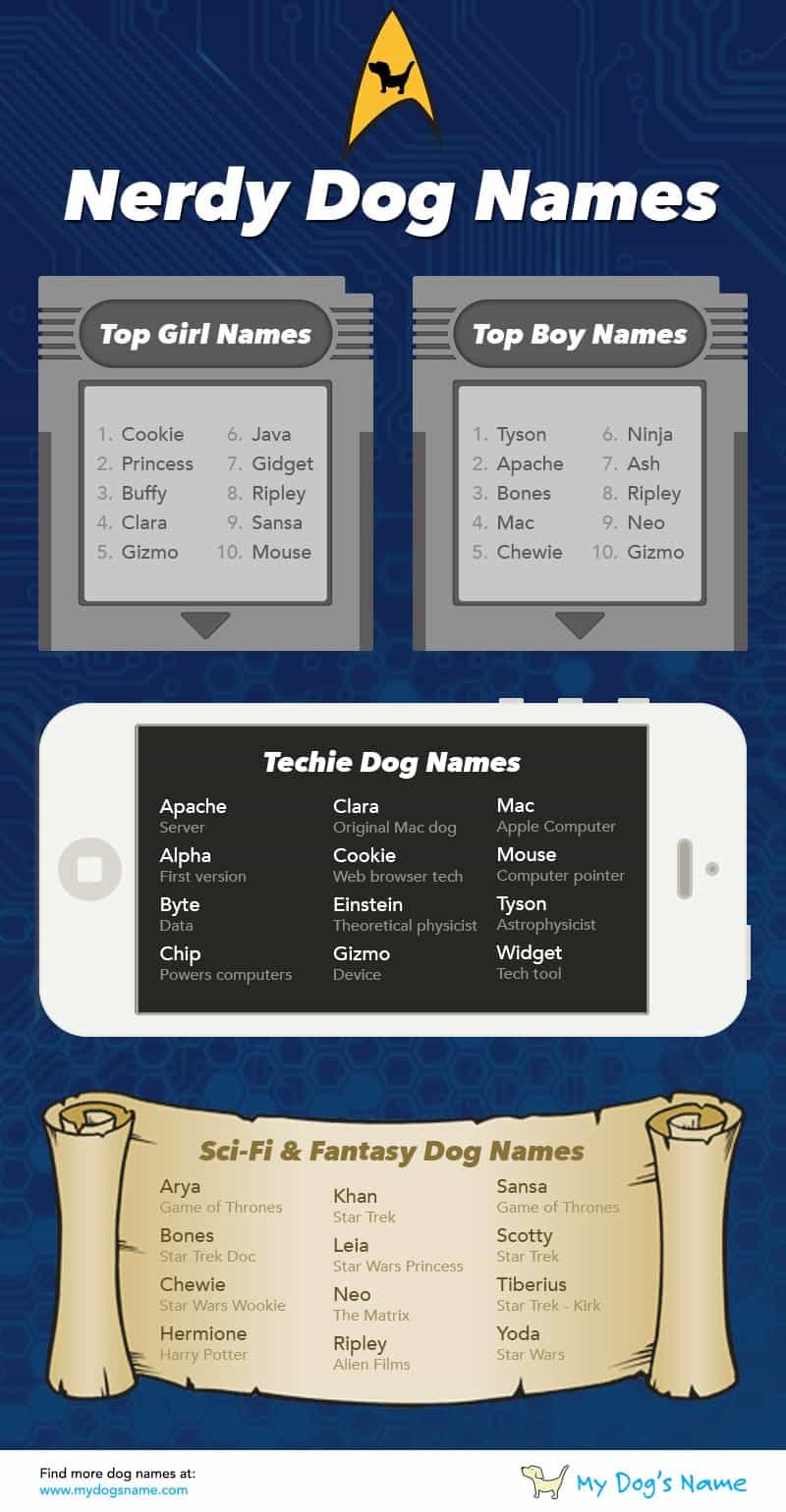 nerdy dog names infographic