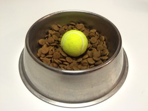 dog-ball-dish