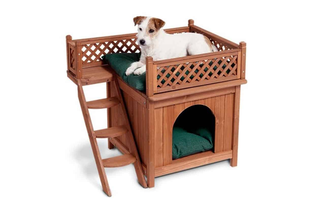 dog house bed