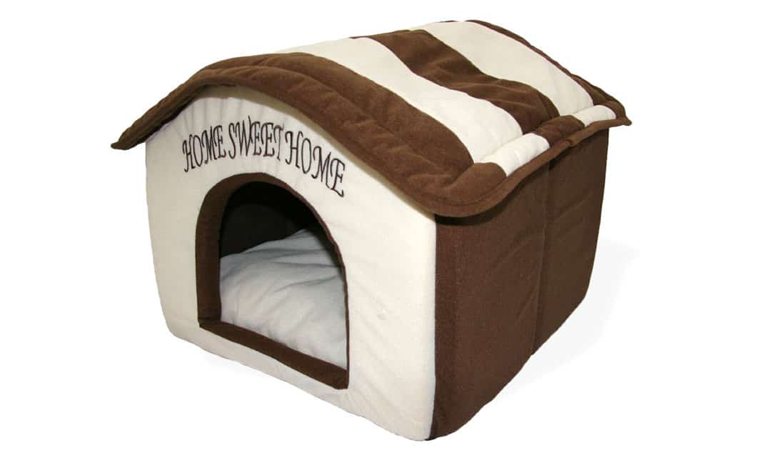 Portable dog bed