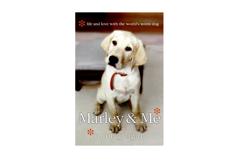 Dog Lover Gift Ideas