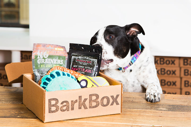 barkbox