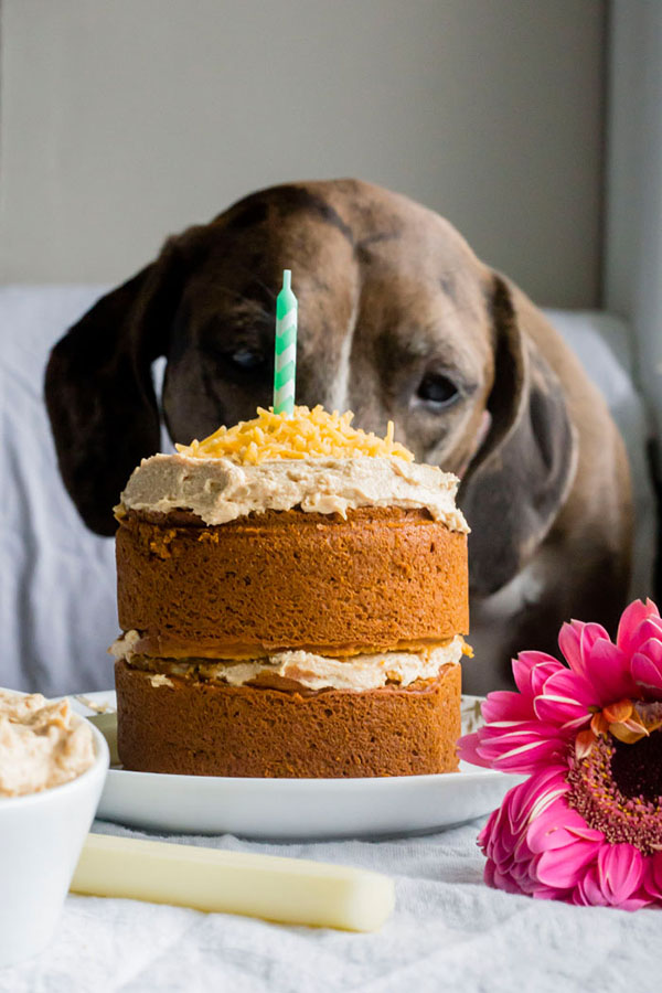 10 Best Dog Birthday Cake Recipes