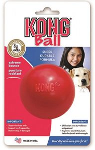 kong ball