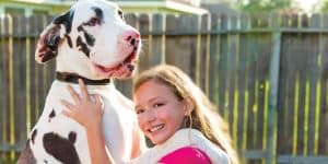 great dane with girl