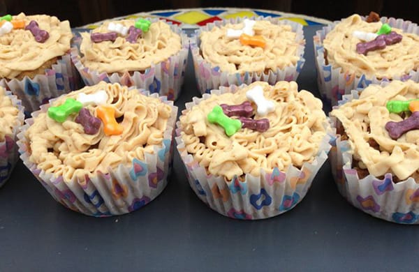 10 Dog Cupcake Recipes Your Pup Will Love