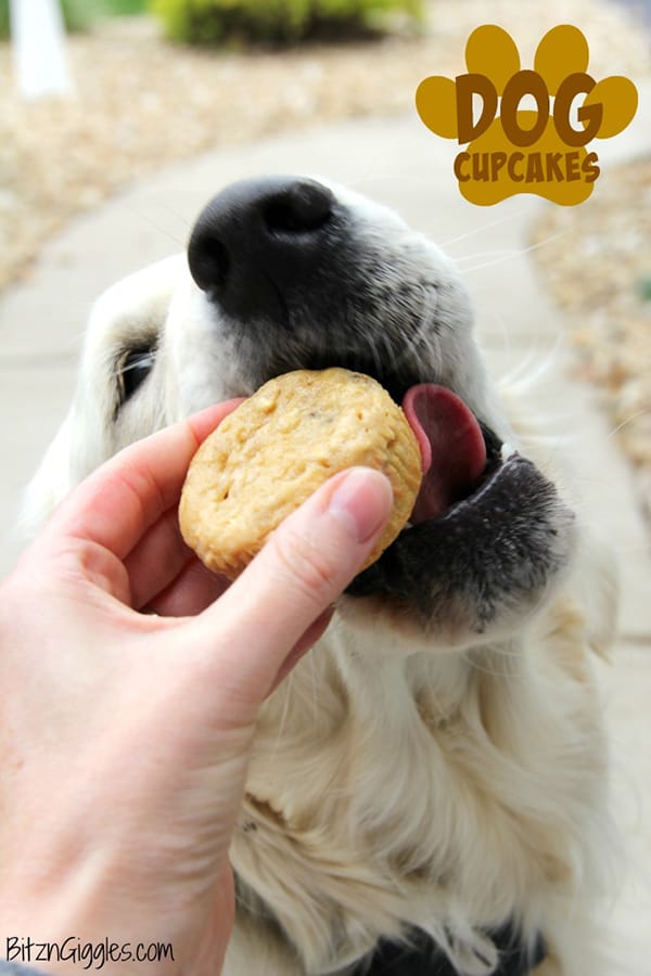 10 Dog Cupcake Recipes Your Pup Will Love
