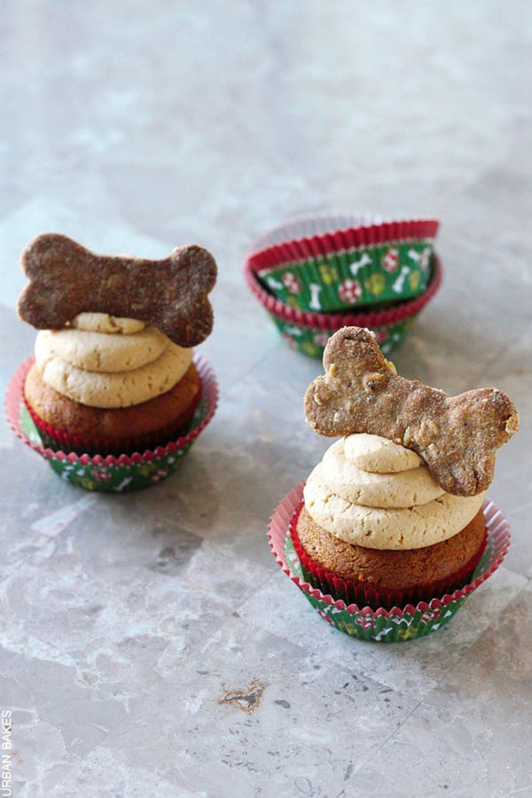 10 Dog Cupcake Recipes Your Pup Will Love