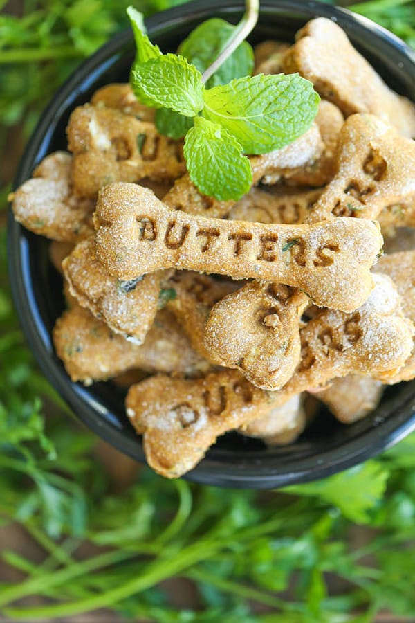 9 Minty Fresh Dog Treat Recipes You Need For Your Dog's Breath