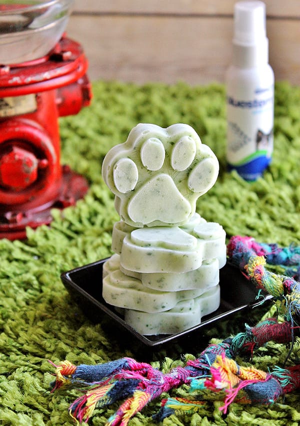 9 Minty Fresh Dog Treat Recipes You Need For Your Dog's Breath