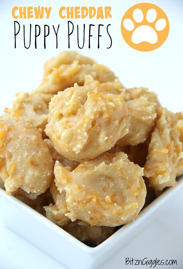 10 Cheesy Dog Treat Recipes To Spoil Your Pup