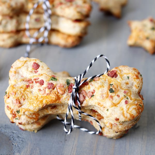 10 Cheesy Dog Treat Recipes To Spoil Your Pup