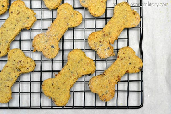 10 Cheesy Dog Treat Recipes To Spoil Your Pup