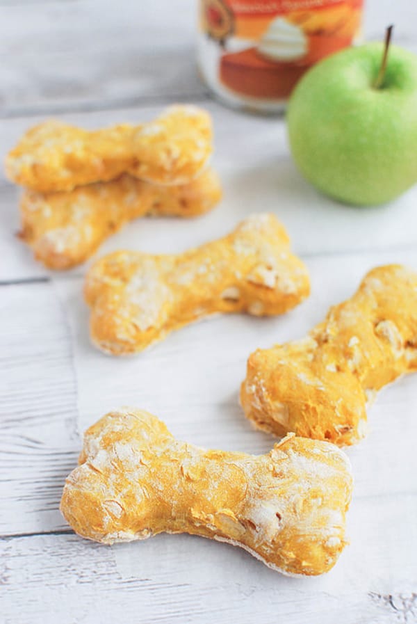 10 Cheesy Dog Treat Recipes To Spoil Your Pup