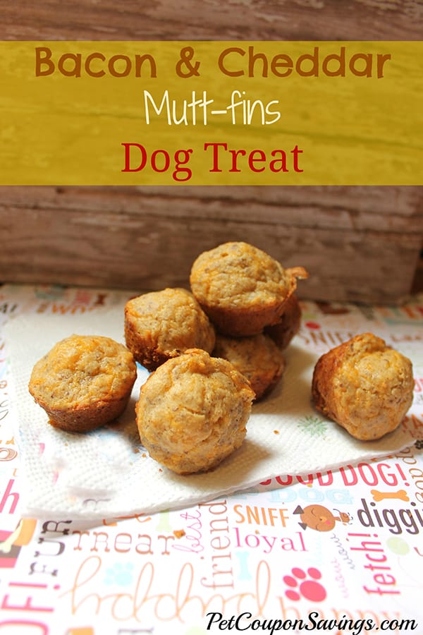 10 Cheesy Dog Treat Recipes To Spoil Your Pup