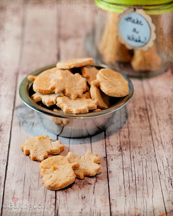 10 Cheesy Dog Treat Recipes To Spoil Your Pup