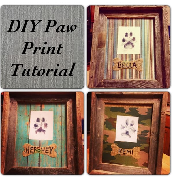 10 Dog Craft Projects That Are Easier Than You Think