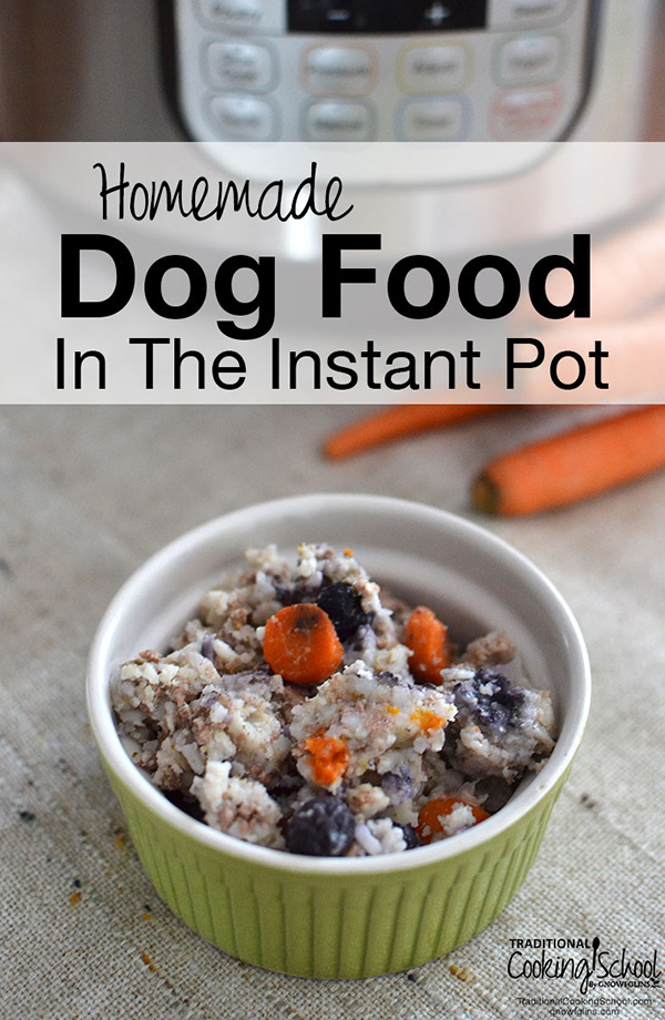 10 Homemade Dog Food Recipes Every Dog Mom Should Know