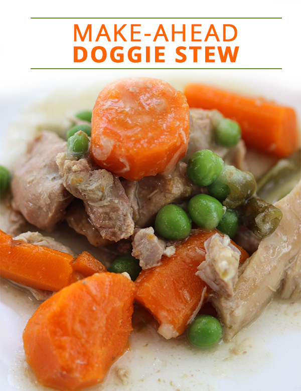 10 Homemade Dog Food Recipes Every Dog Parent Should Know