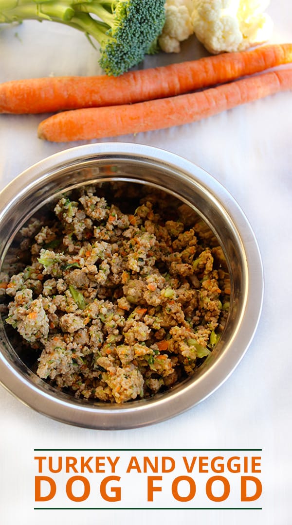 10 Homemade Dog Food Recipes Every Dog Parent Should Know