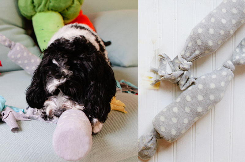 10 Genius DIY Dog Toys That Are Crazy Easy