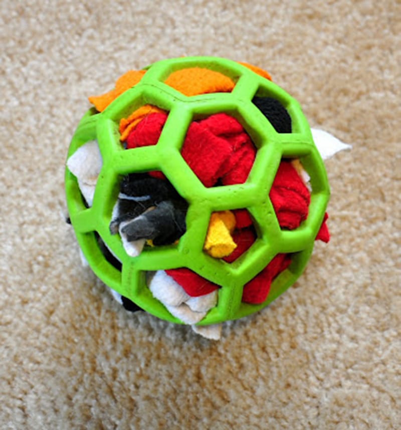 10 Genius DIY Dog Toys That Are Crazy Easy