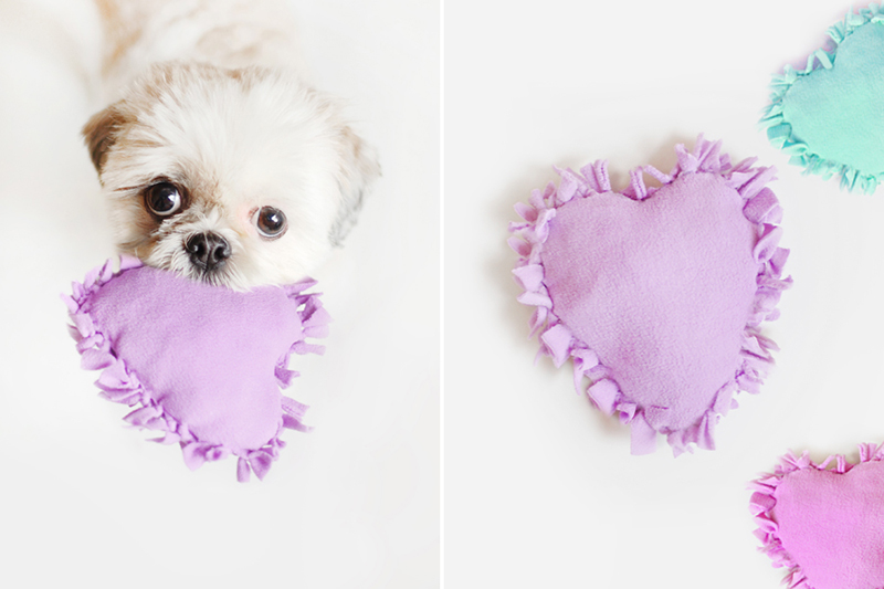 How to make a dog puzzle toy 