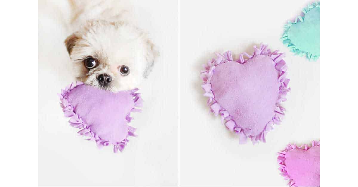 This DIY Dog Toy Will Keep Your Pet Busy For Hours