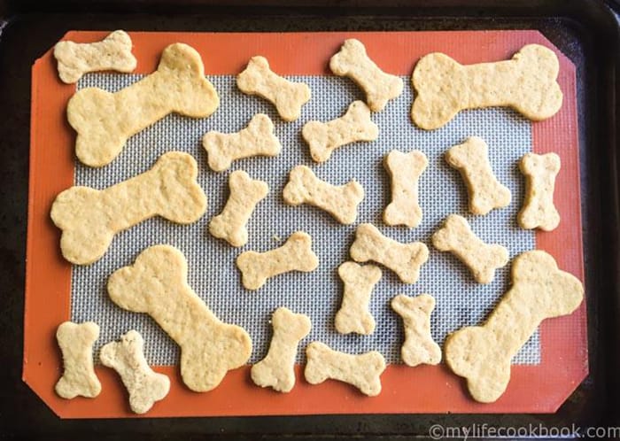 Crazy Easy Dog Treat Recipes You Have To Make