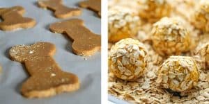 easy dog treat recipes