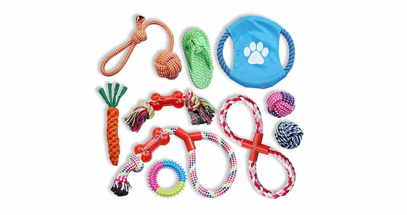 Best Gifts for Dog Lovers