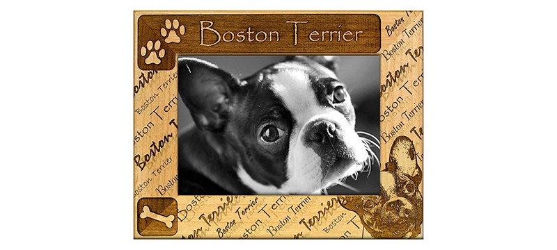 Boston Terrier photo frame