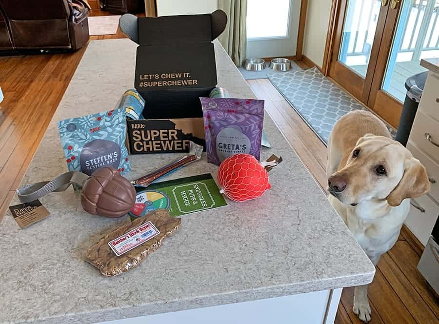 Super Chewer box on table with dog looking