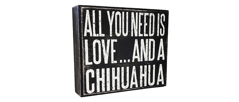 all you need is love and a chihuahua sign