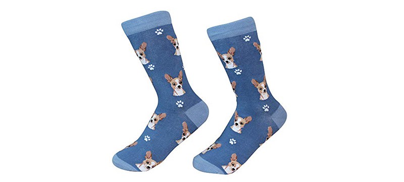 blue Chihuahua socks