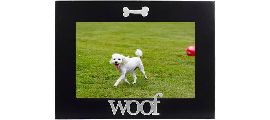poodle picture frame