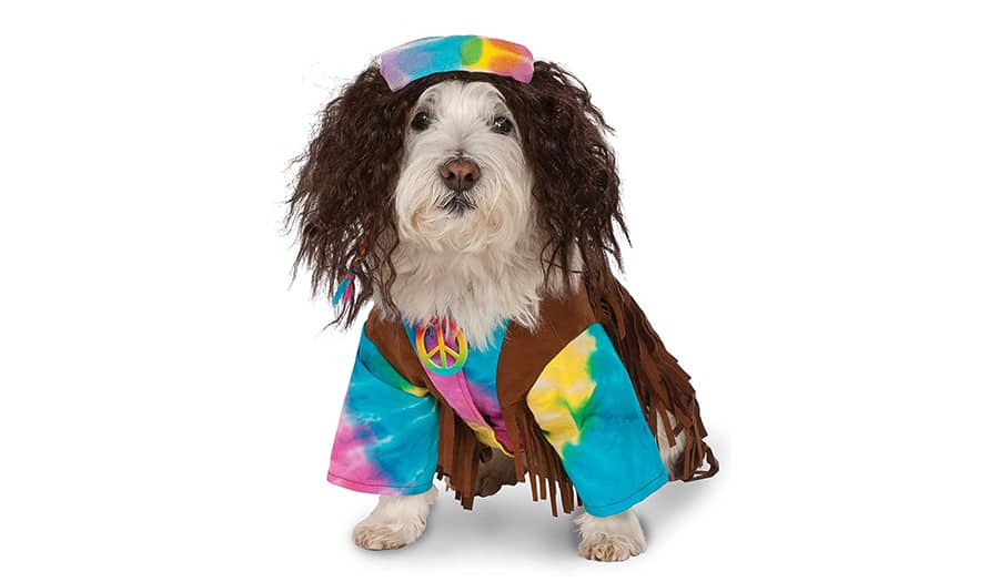 Hippie Dog Names - 160+ Groovy Ideas