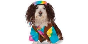 hippie dog names
