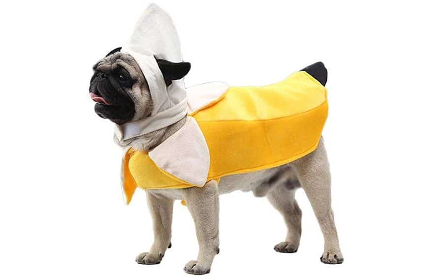 Dog Banana Costume