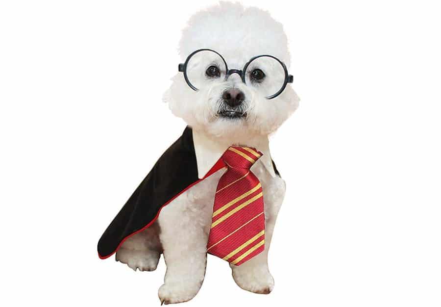 Harry Potter Dog Costume