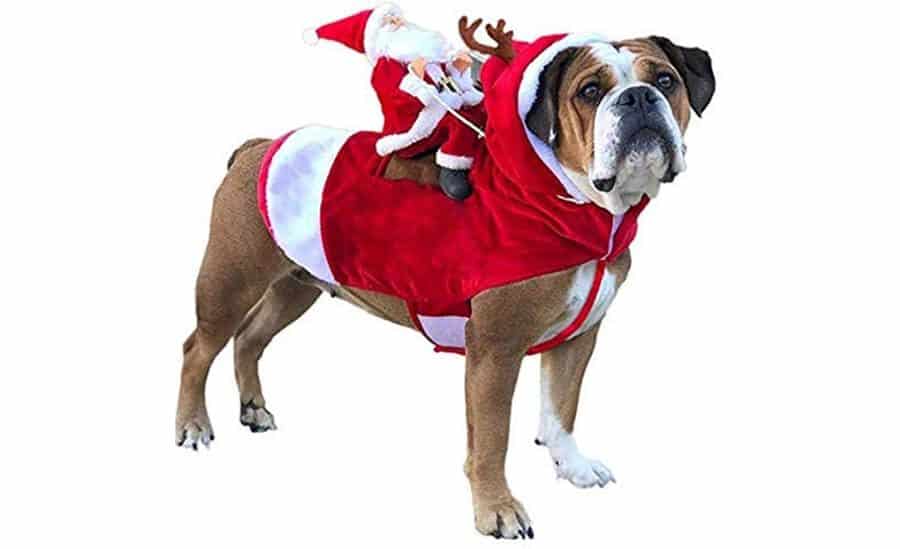 Santa Clause Dog Costume

