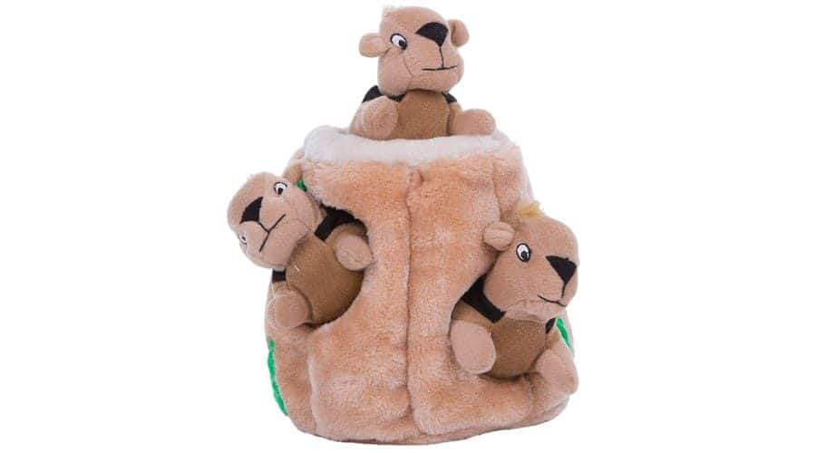hide and seek dog toy