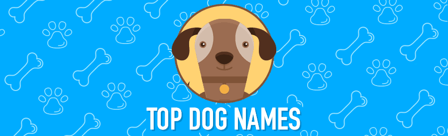 top dog names banner