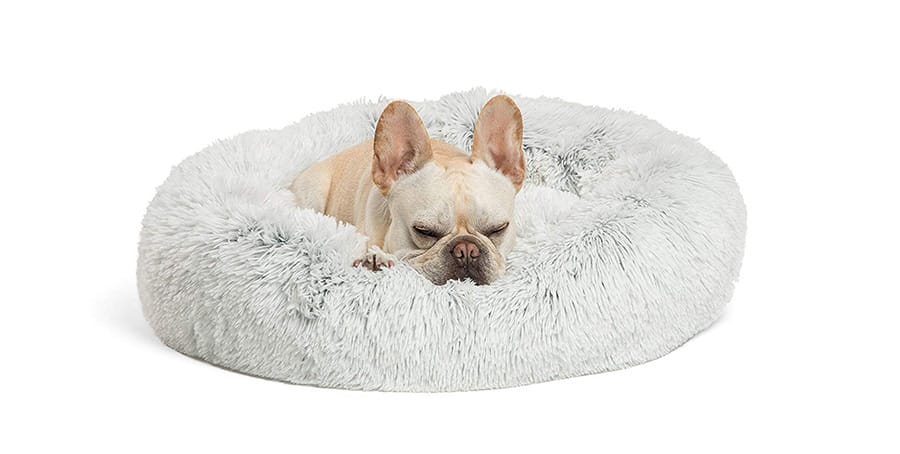 puppy sleeping on a fuzzy bed