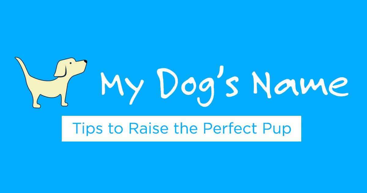 Cute Dog Names For Girl Dogs