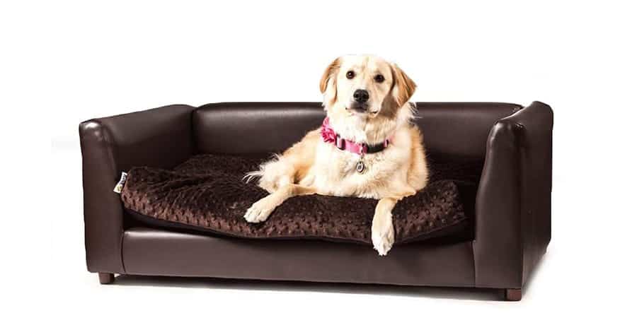 Sophisticated dog bed