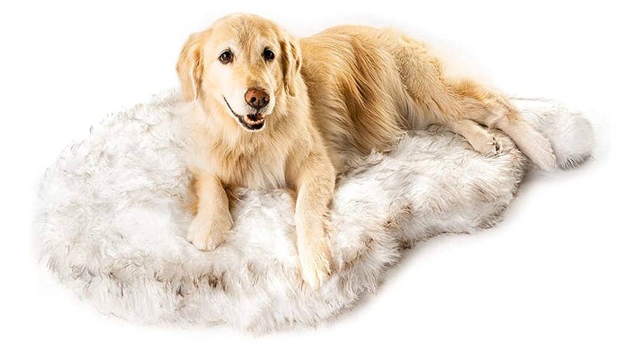 Awesome dog beds